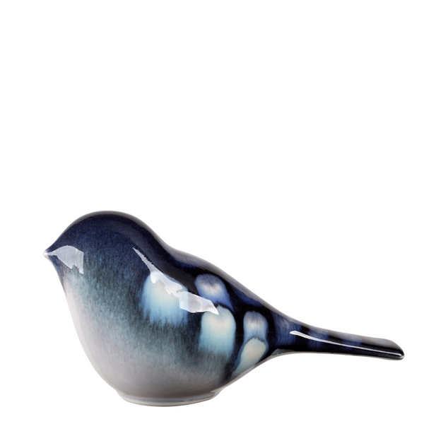 Ocean Bird Perching Seconds