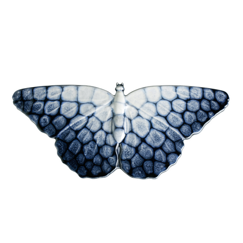 NEW Ocean Large Butterfly