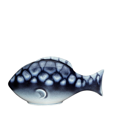 Ocean Large Poole Fish (Gift Boxed)