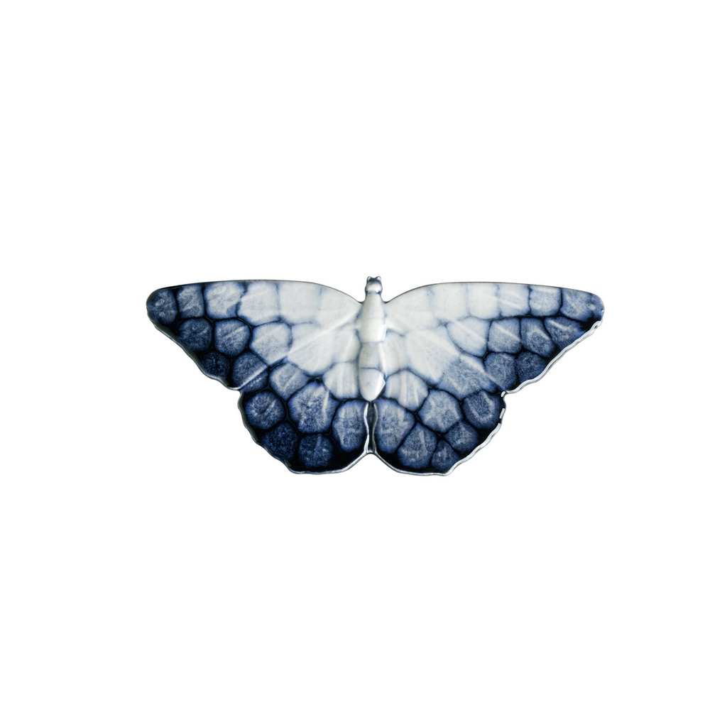 NEW Ocean Small Butterfly