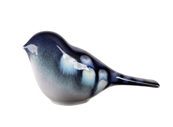 Ocean Bird Perching Seconds